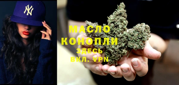 гашик Мегион