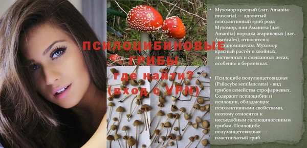 spice Магадан