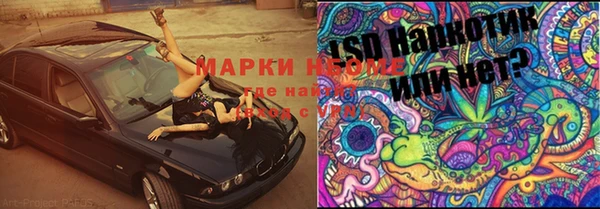 spice Магадан