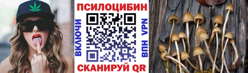 Псилоцибиновые грибы Psilocybe  Отрадное 